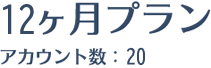 12ヶ月プランアカウント数：20